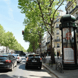 chaillot_colonnes